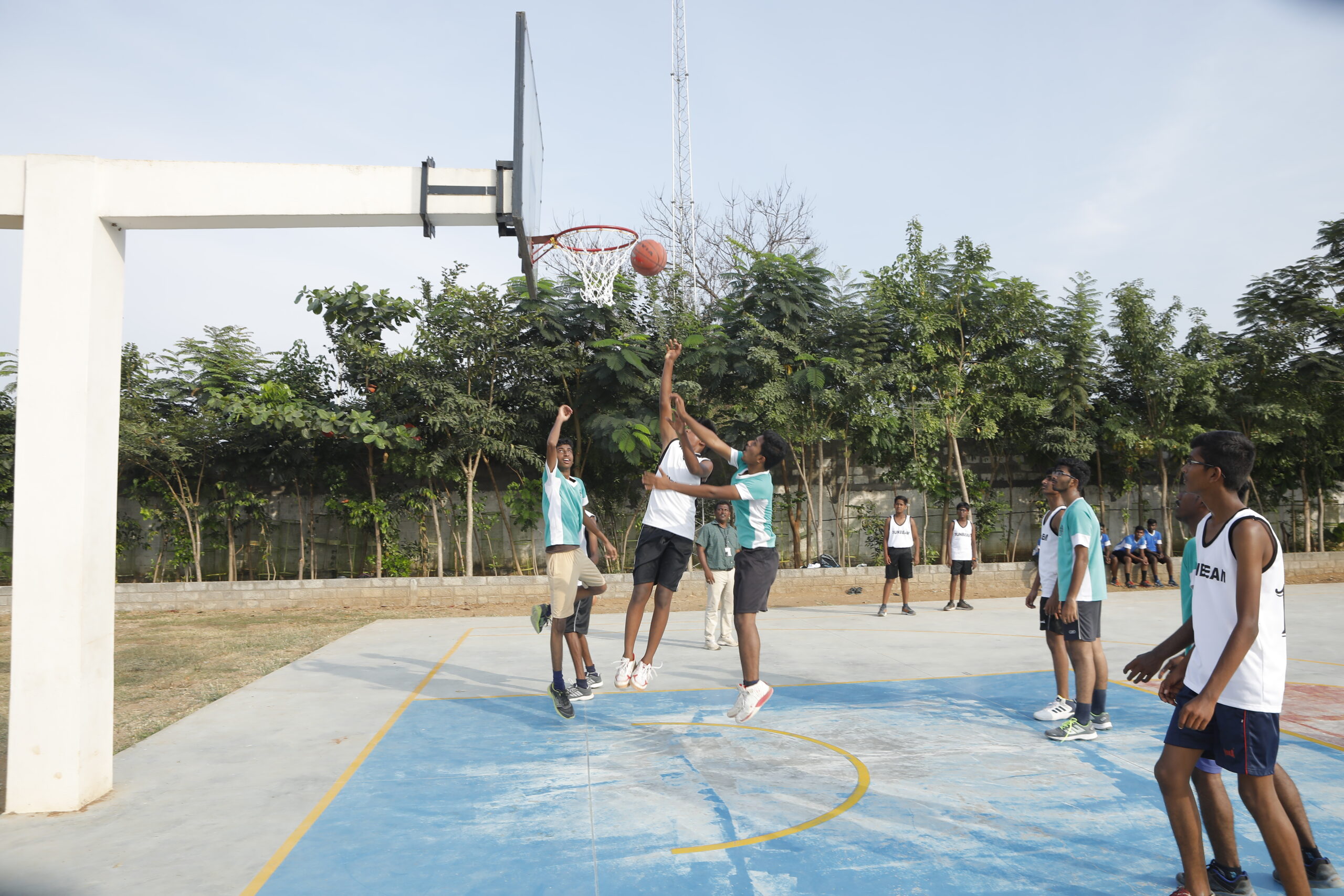 4.Basketball2